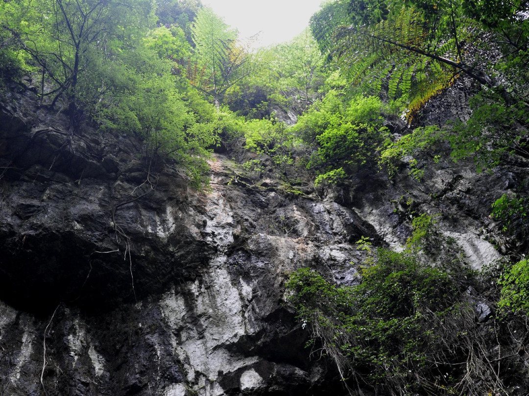 Pha Phueng Cave景点图片