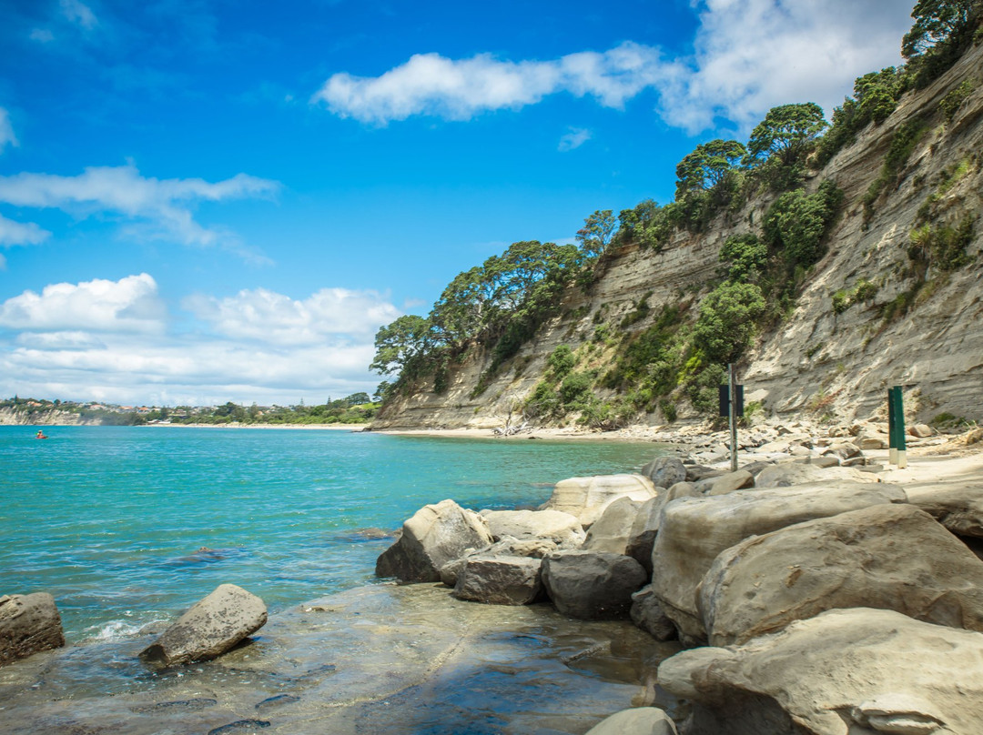 Long Bay旅游攻略图片