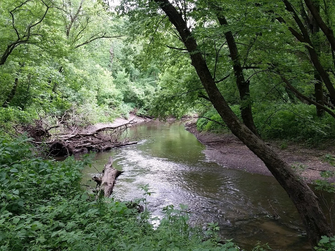 Creek Park景点图片