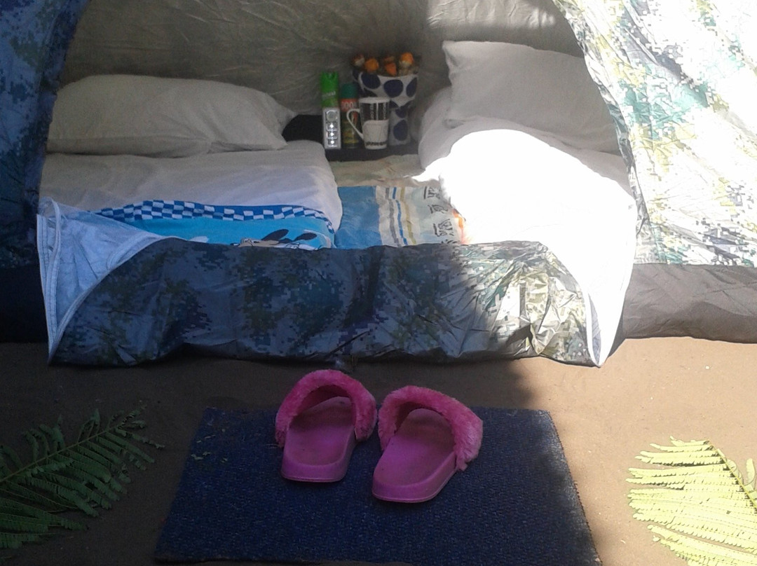 Central Region旅游攻略图片