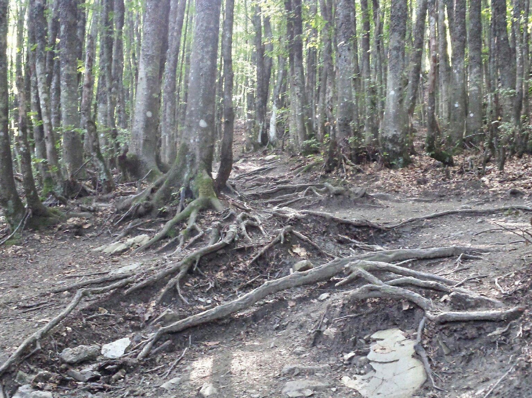 Monte Ventasso