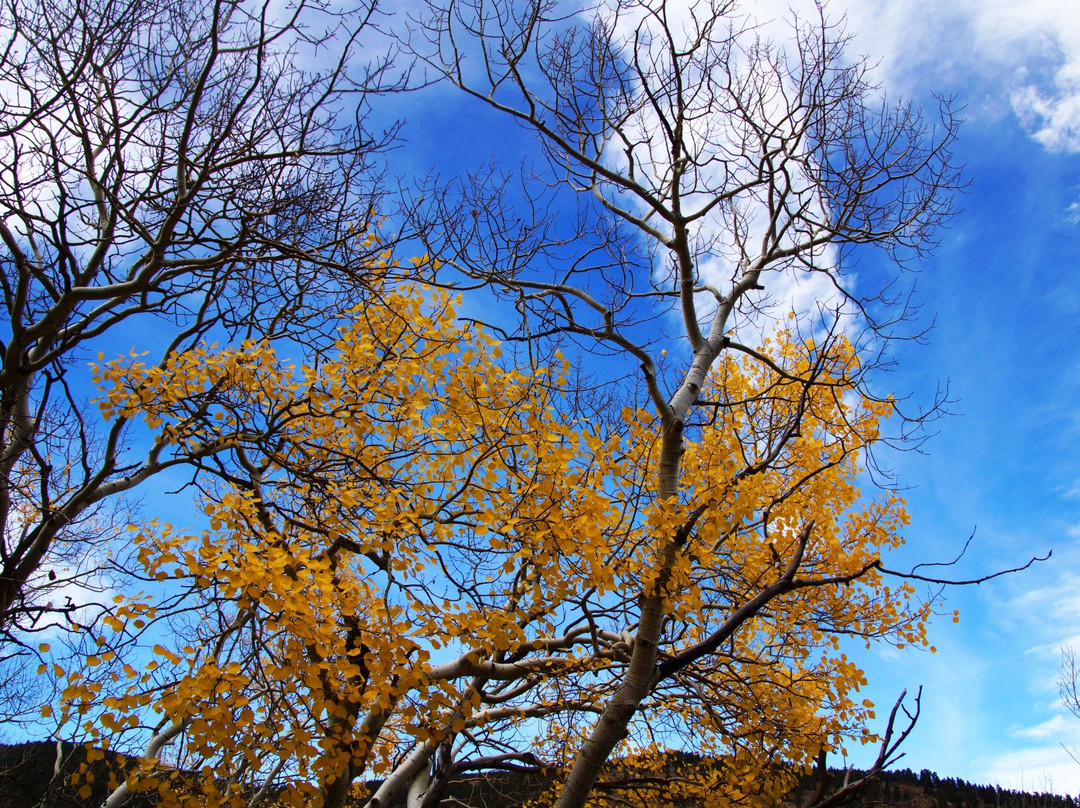 Caribou Ranch Open Space景点图片