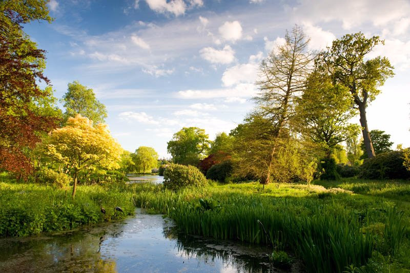 Hoveton Hall Gardens景点图片