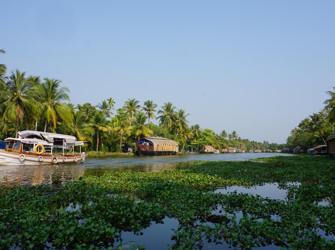 Alappuzha Boat Jetty景点图片