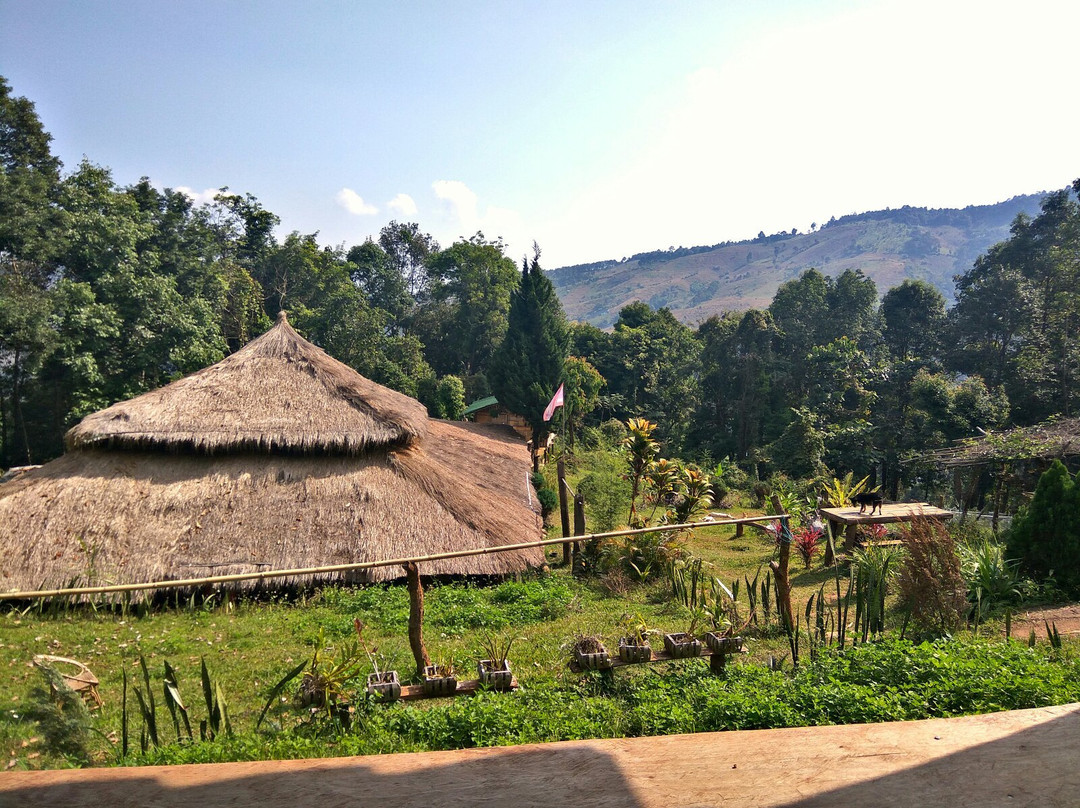 Mountain Muay Thai景点图片