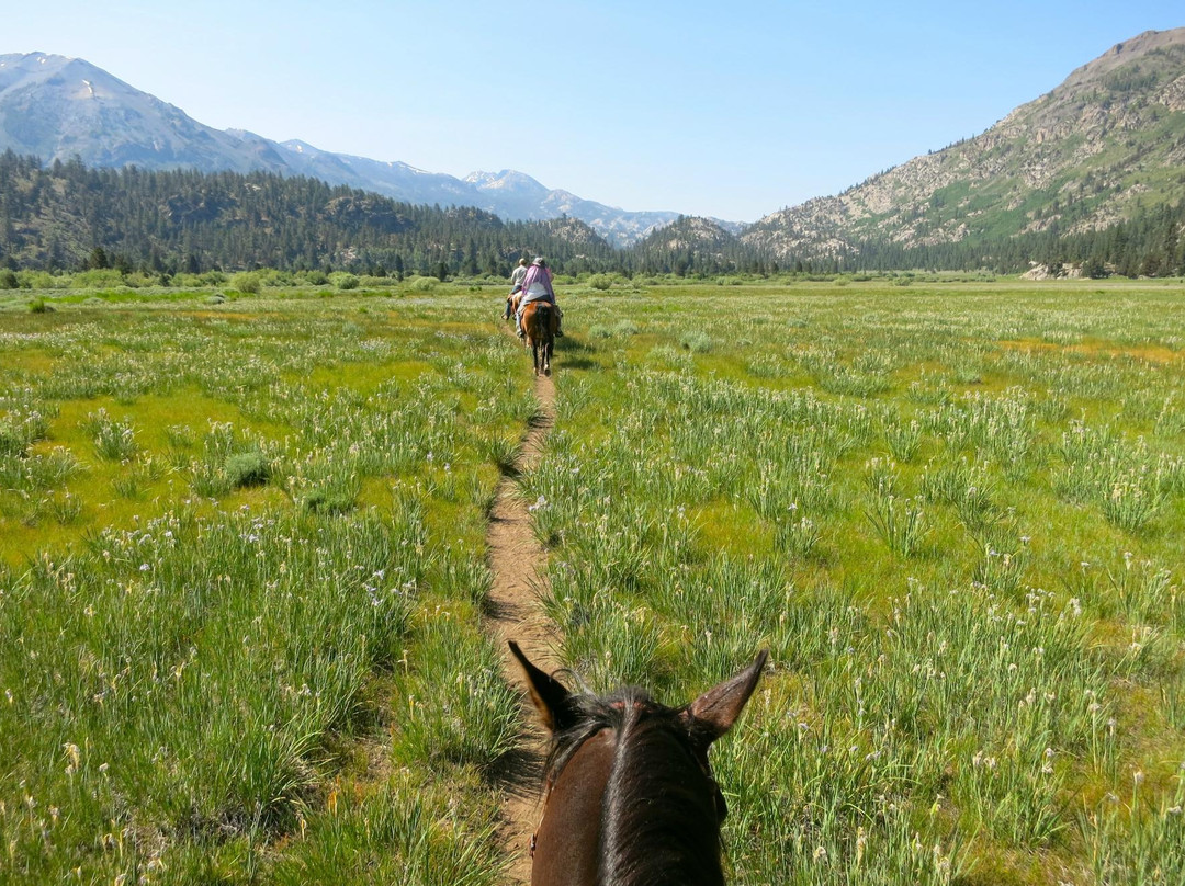 Leavitt Meadows Pack Station景点图片