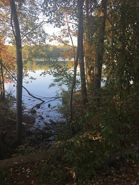 Lake Thoreau Loop Trail景点图片