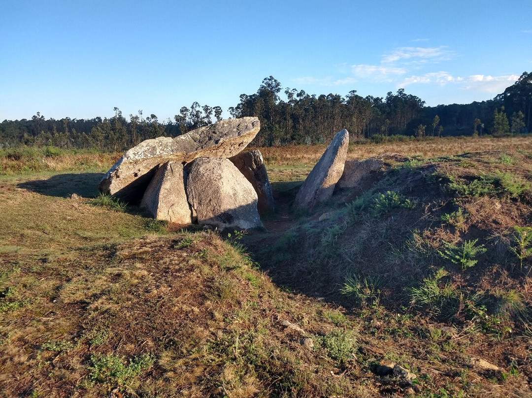 Dolmen Pedra Da Arca (cerqueda)景点图片