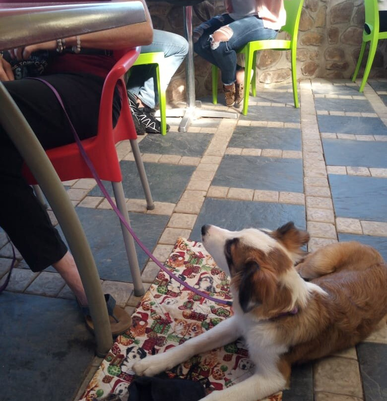 GoFresh Cafe & Juice Bar