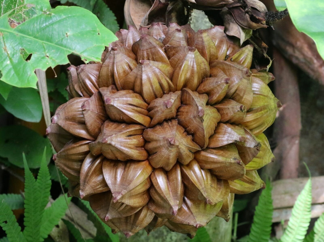 Admiralty Park-新加坡必去景点