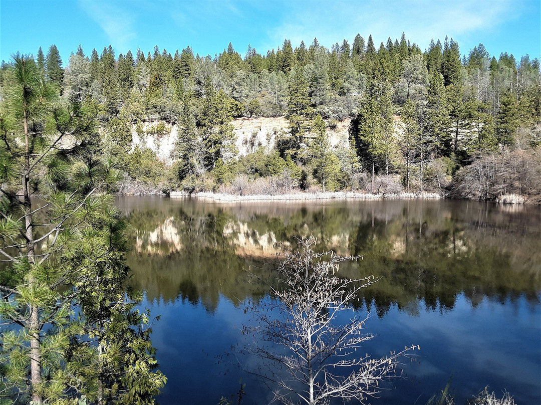 Hirschman's Pond Trail景点图片