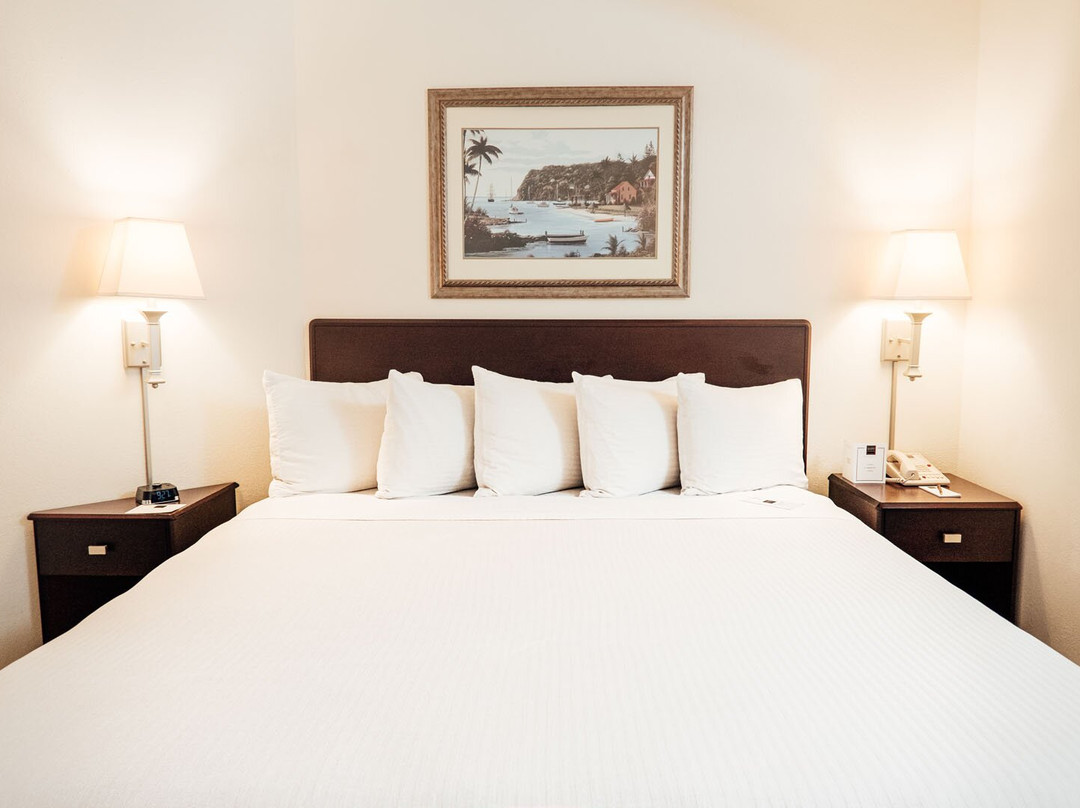 安阿伯丽晶套房酒店主图