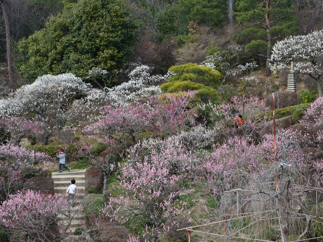 Nakayama Kannon Park-宝冢市必去景点