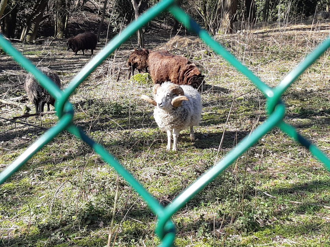 Parc des Coteaux d'Avron-讷伊普莱桑斯必去景点
