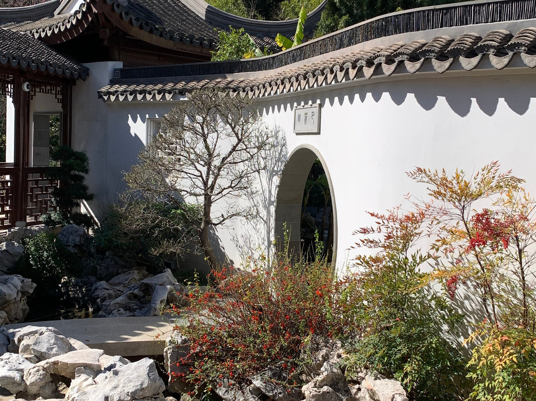 Huntington Chinese Garden-圣玛利诺必去景点