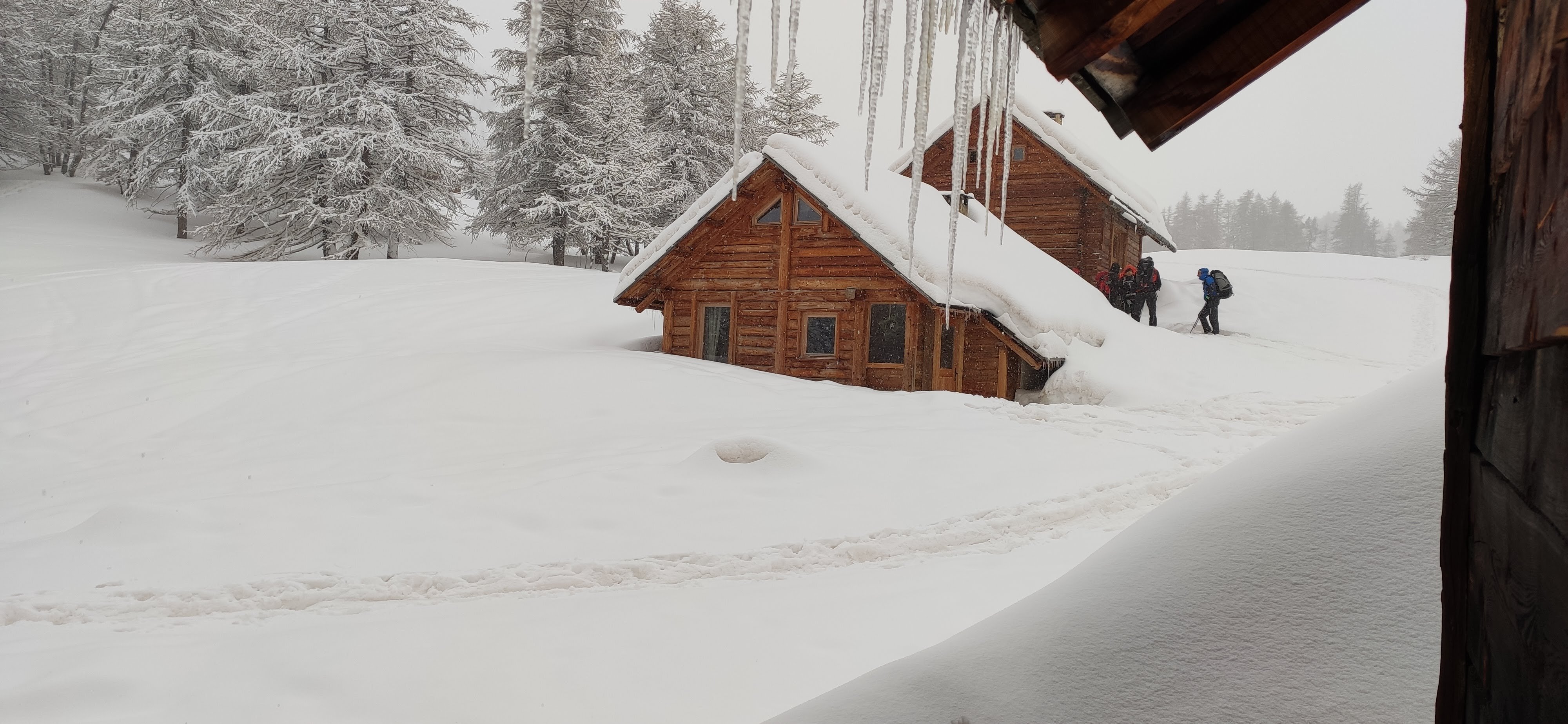 Refuge Buffere-官方