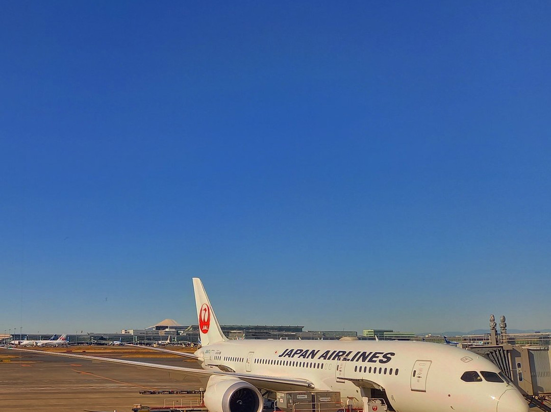 Haneda Airport Terminal 1 POWER LOUNGE CENTRAL-大田区必去景点