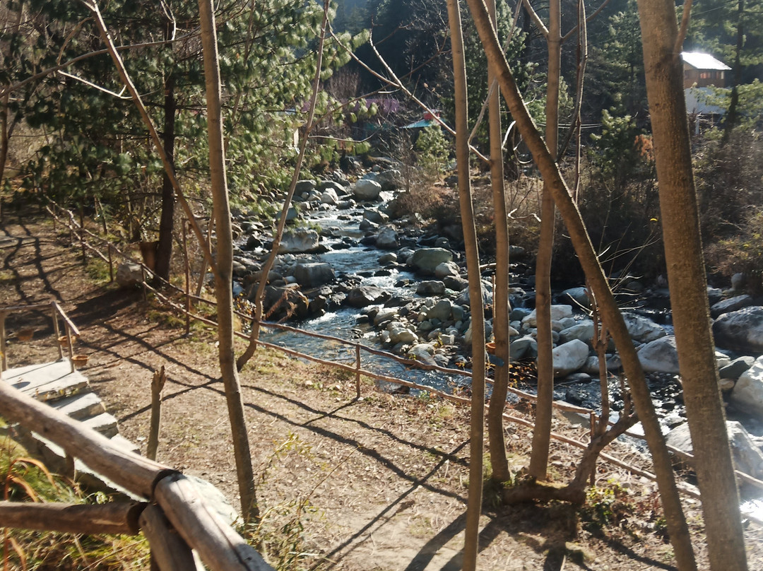 Maple Outhomes主图