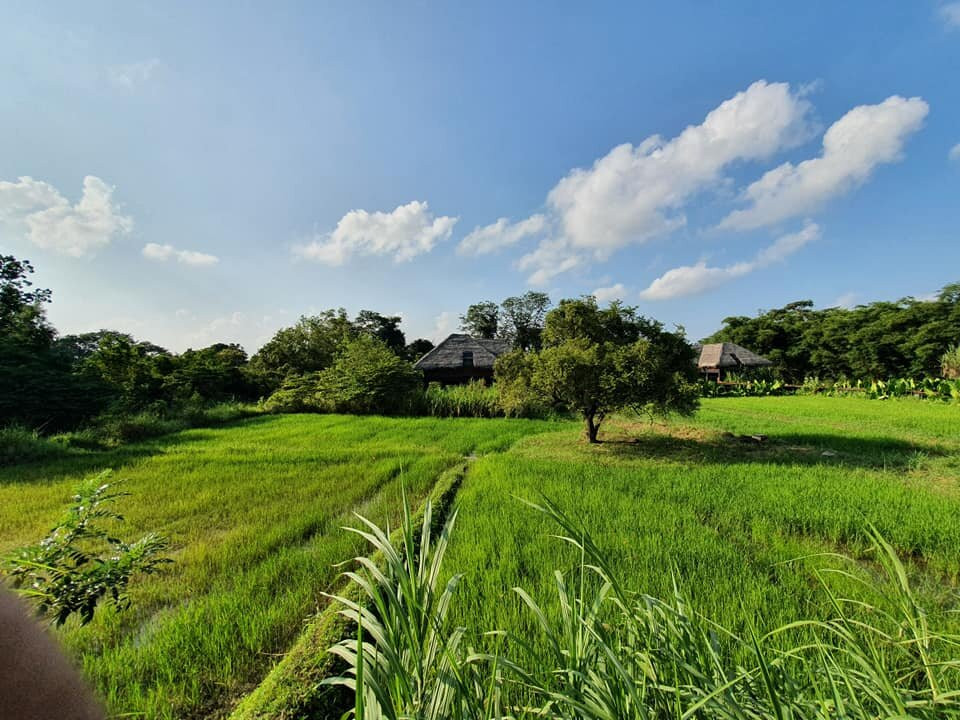 威乌亚纳杰威酒店主图