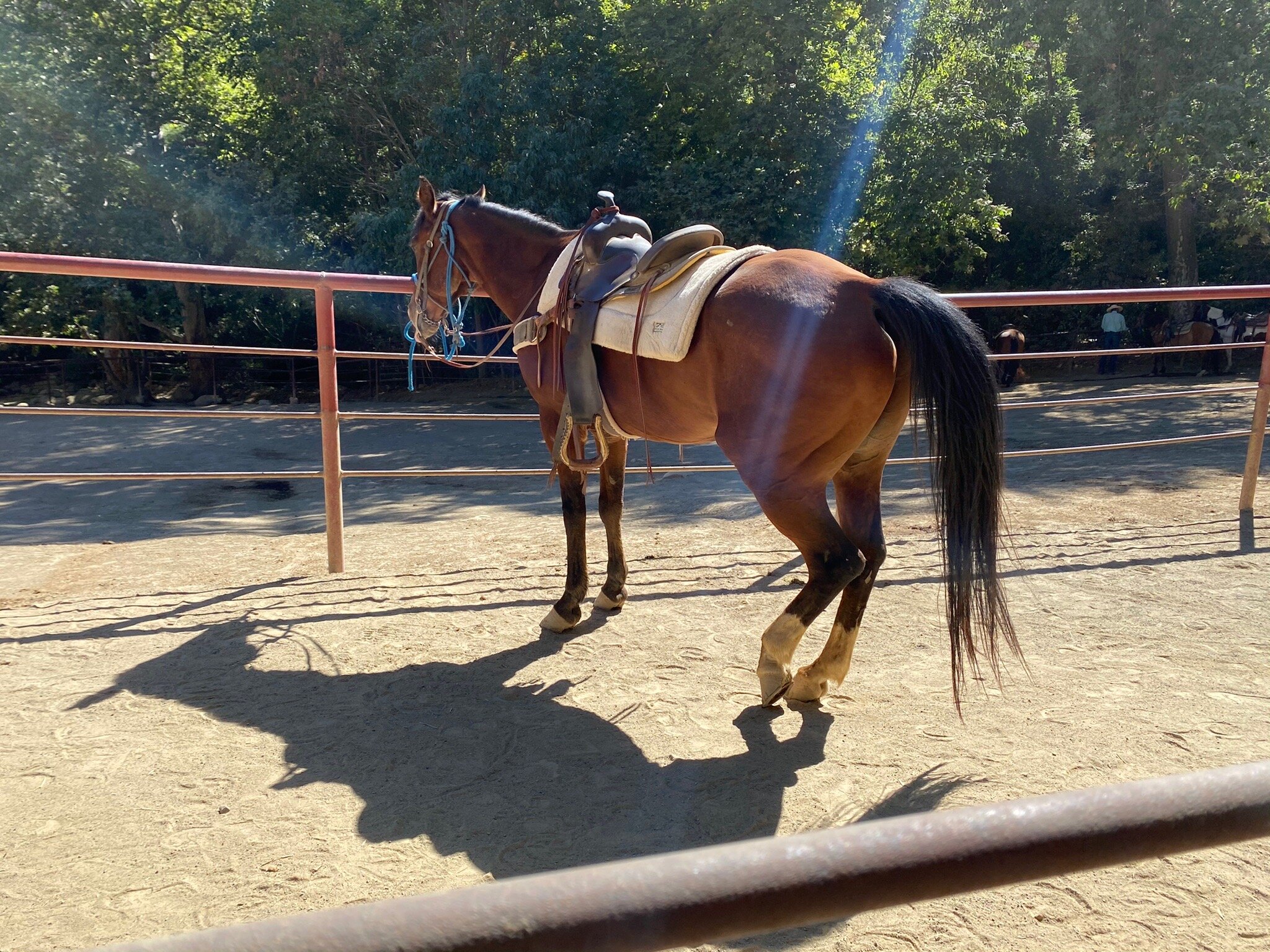 Circle Bar B Guest Ranch-官方