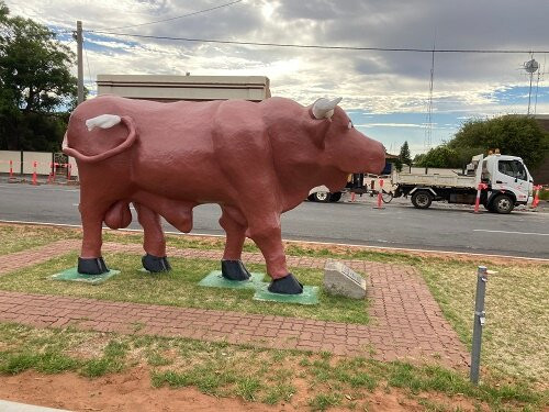 Birchip's Mallee Bull-Birchip必去景点