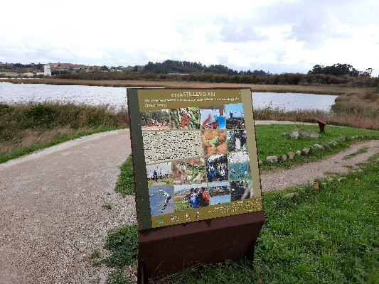 Marismas Blancas