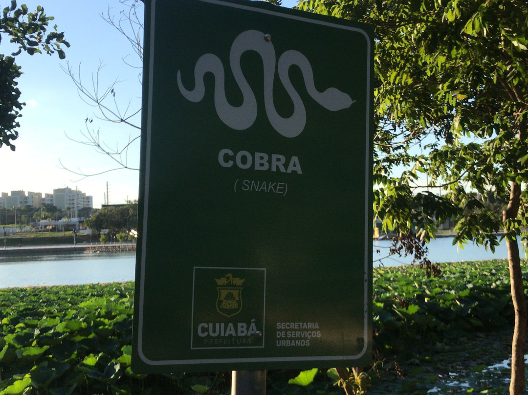 Parque Das Águas Seo Fiote景点图片