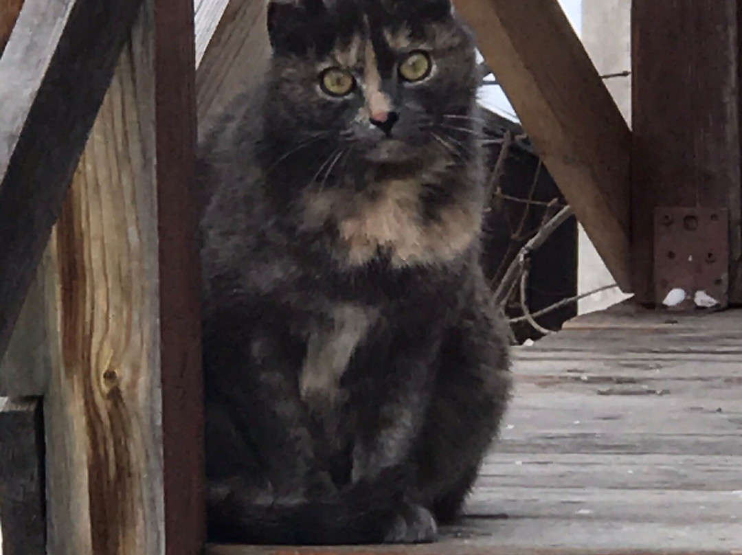 Gostevoy Dom Nebo Baykala主图