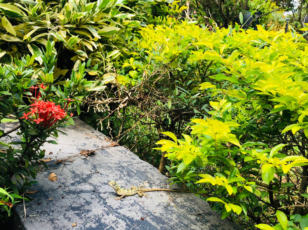 花园湖度假酒店主图