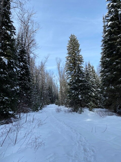 Skiumah Creek Trail景点图片