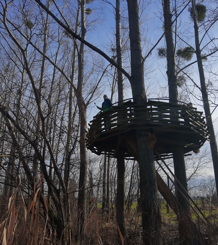 Malinovo旅游攻略图片