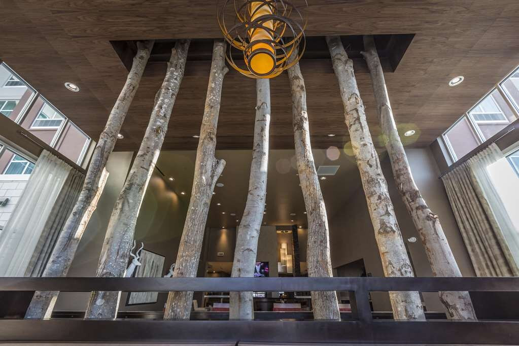 Homewood Suites By Hilton Charlotte Ballantyne主图