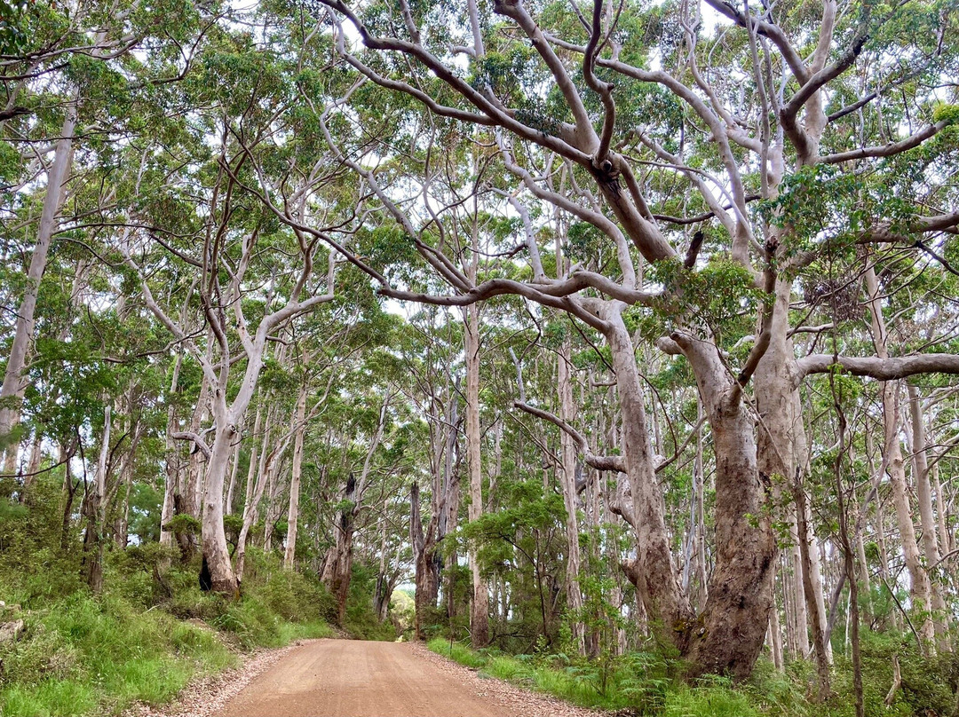 West Cape Howe National Park-奥尔巴尼必去景点