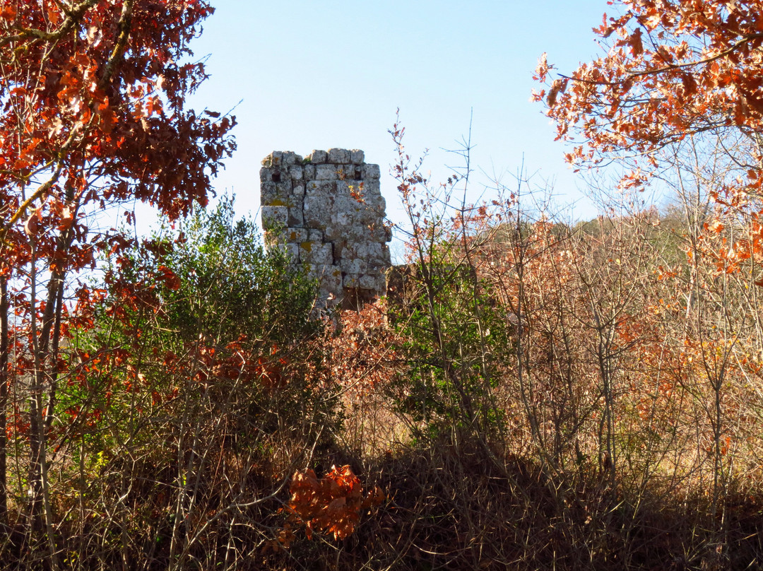 Zona Archeologica di Palazzolo景点图片