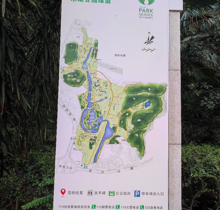 深圳东湖公园景点图片