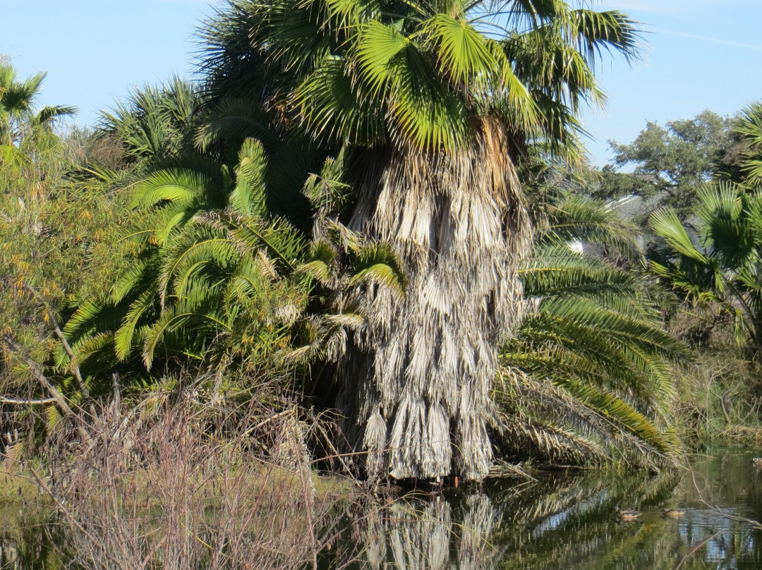 Rockport Demo Bird Garden & Wetlands Pond-罗克波特必去景点