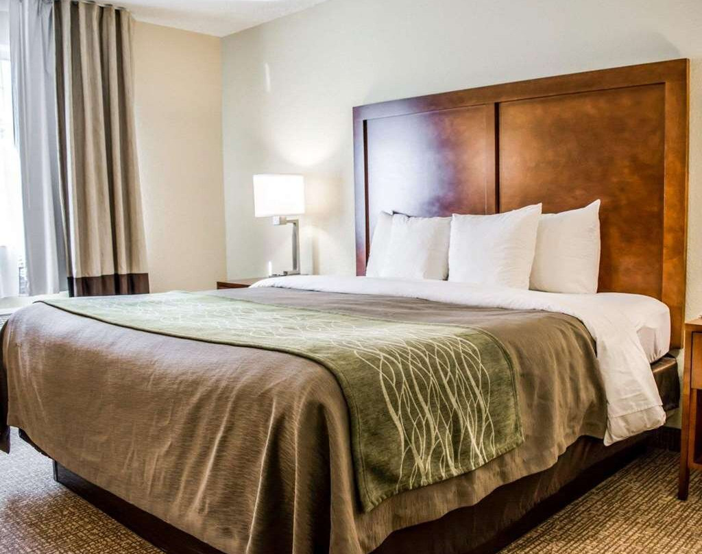 Comfort Inn Fort Myers Northeast主图