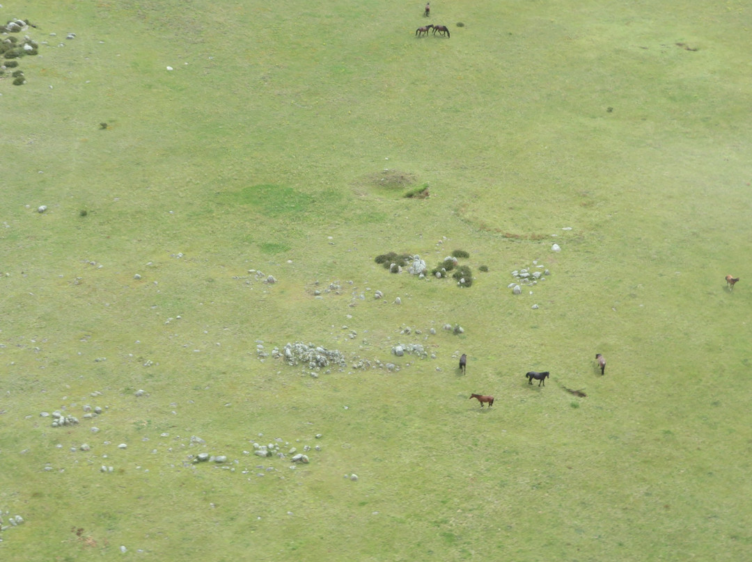 Snowy Mountains Helicopters-金德拜恩必去景点