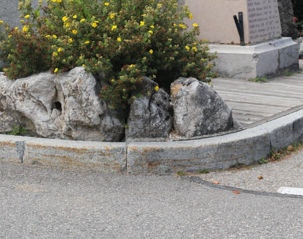 Monument Aux Morts De Corrençon-en-vercors景点图片