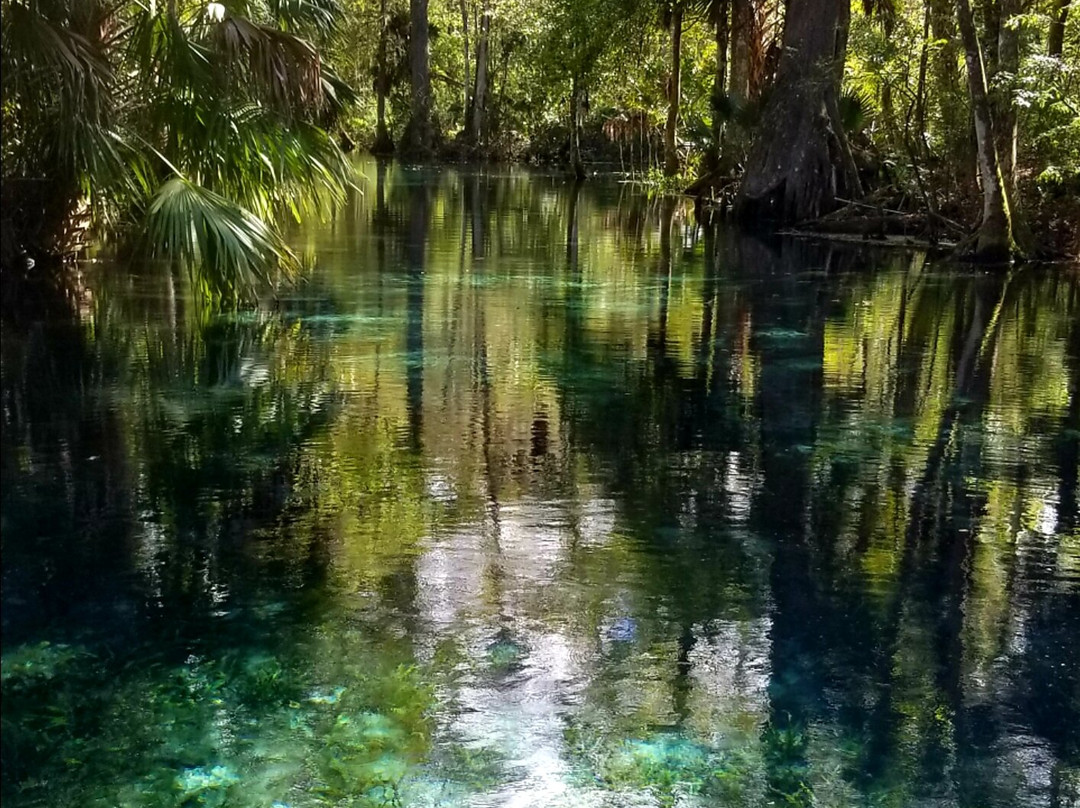 The Heirloom Inn主图