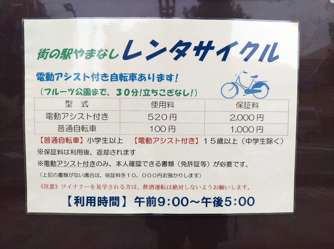 Town Station Yamanashi-山梨市必去景点