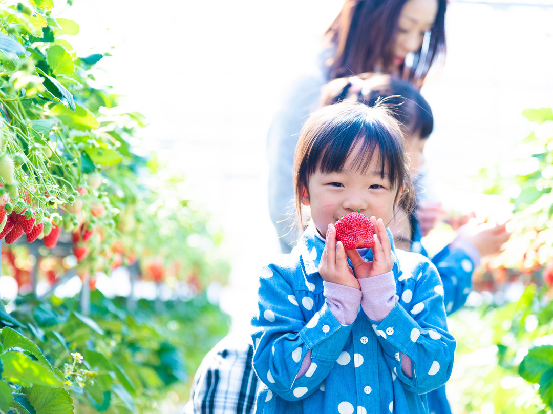 Hamamatsu Fruit Park Tokinosumika景点图片