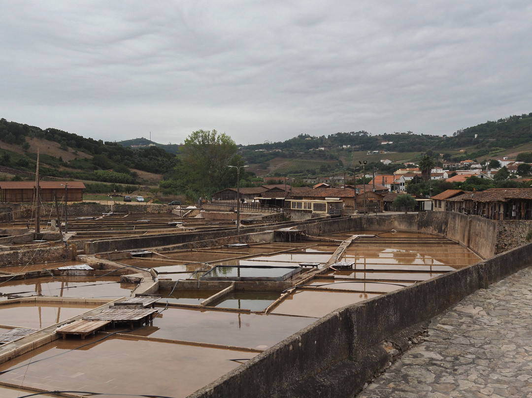 Salinas de Rio Maior景点图片