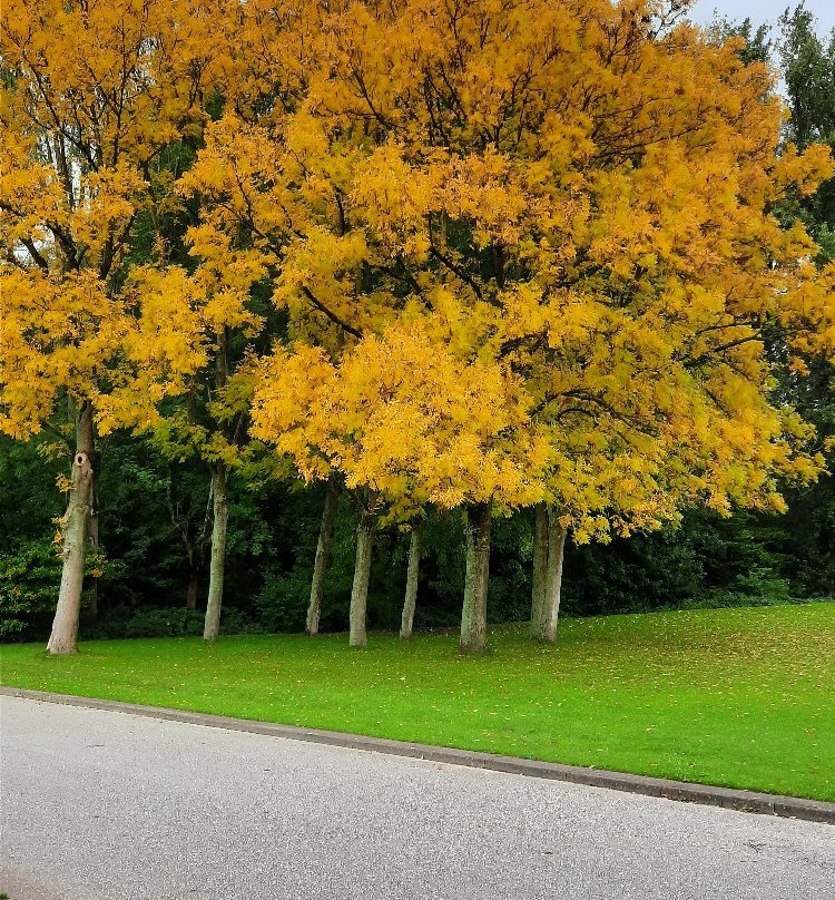Zuiderpark-鹿特丹必去景点