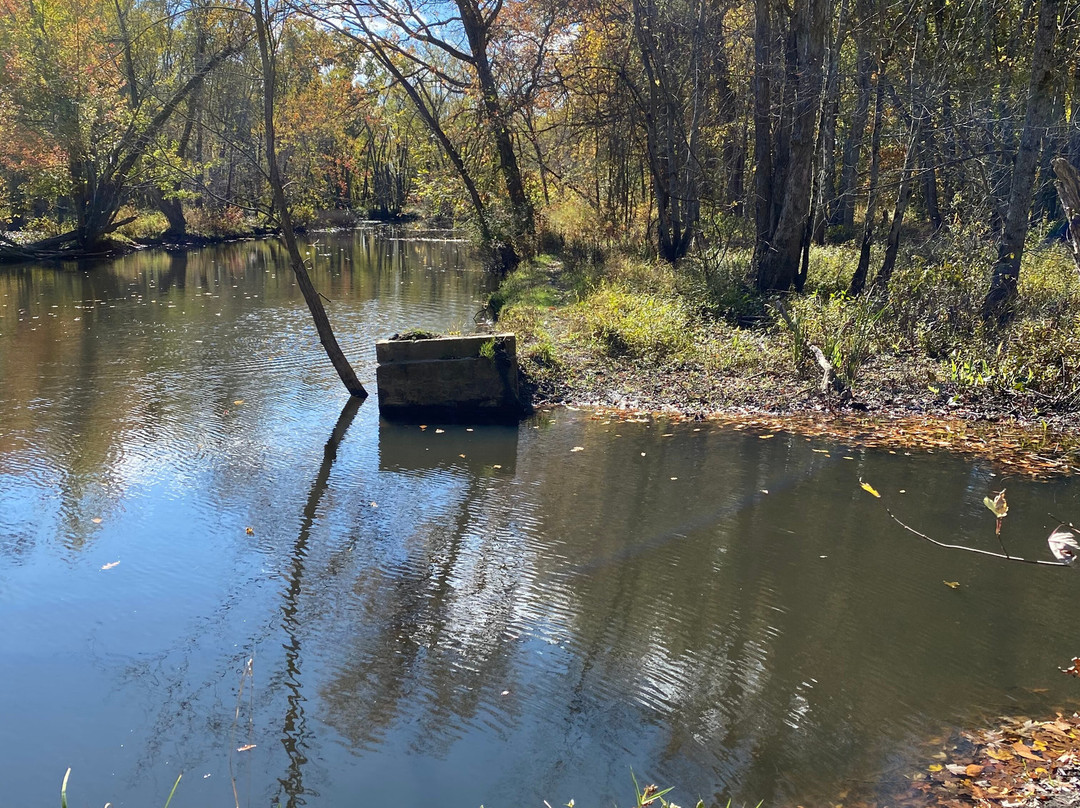 Eldon Russell Park-Burton必去景点