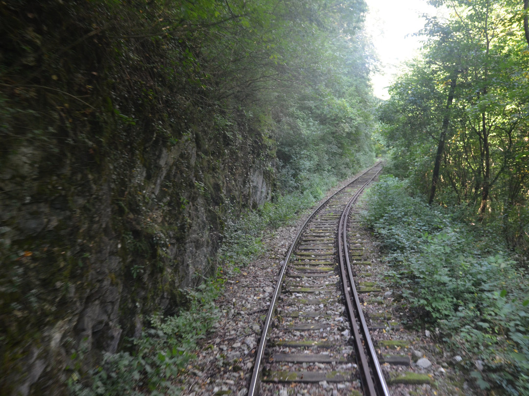 Oravita – Anina Railway景点图片