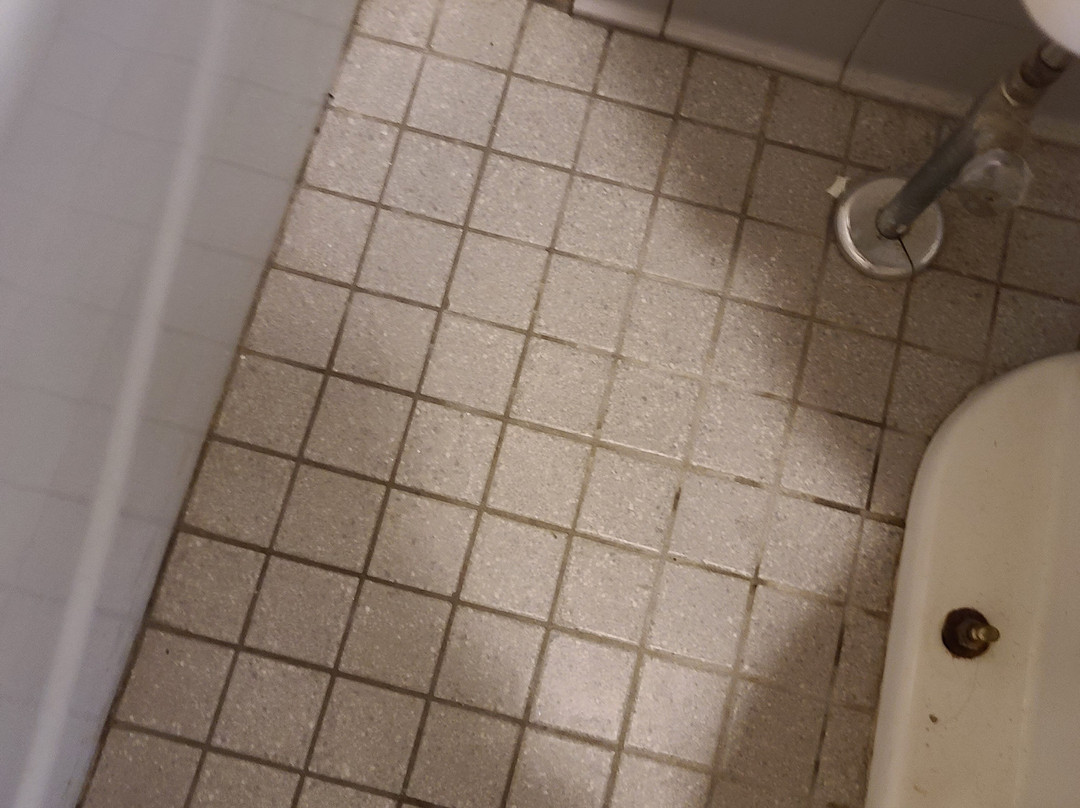 The Springs Motel主图