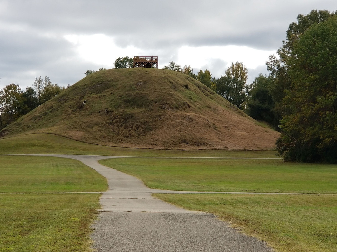 Pinson Mounds State Park-Pinson必去景点
