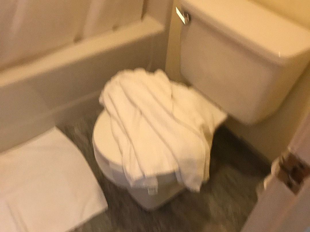 Days Inn by Wyndham Tamworth主图