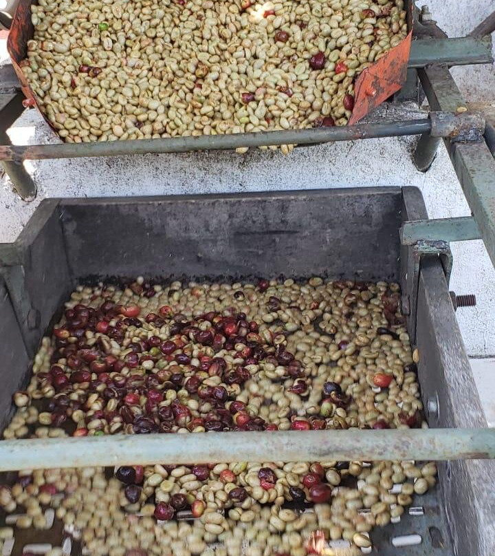 Finca El Tinto-La Vega必去景点